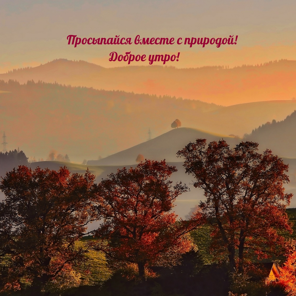 Просыпайся вместе с природой! Доброе утро!