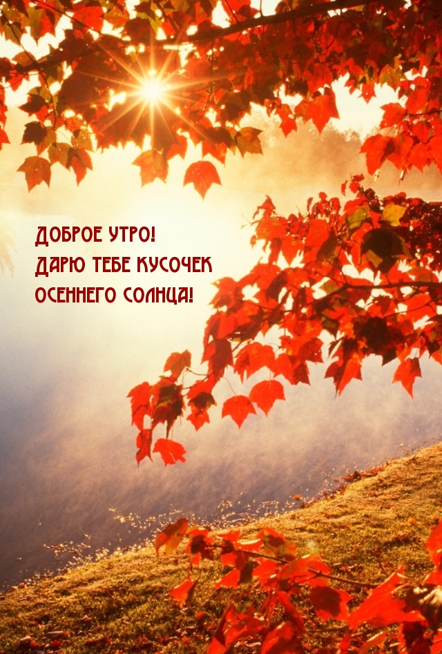 Доброе утро! Дарю тебе кусочек осеннего солнца!