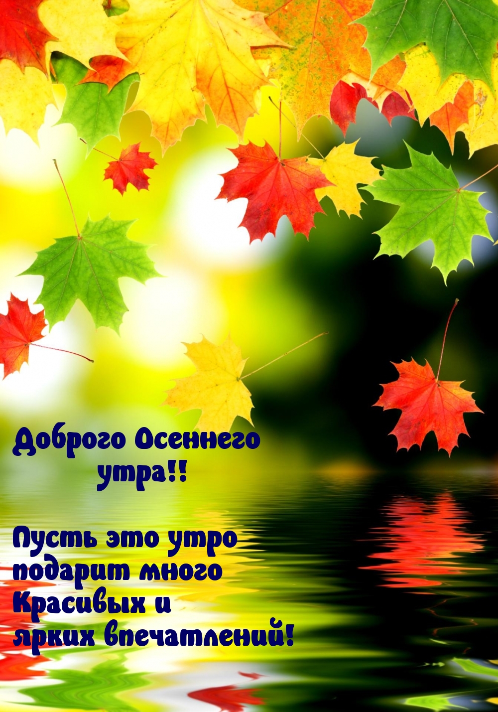 Доброго Осеннего утра!!