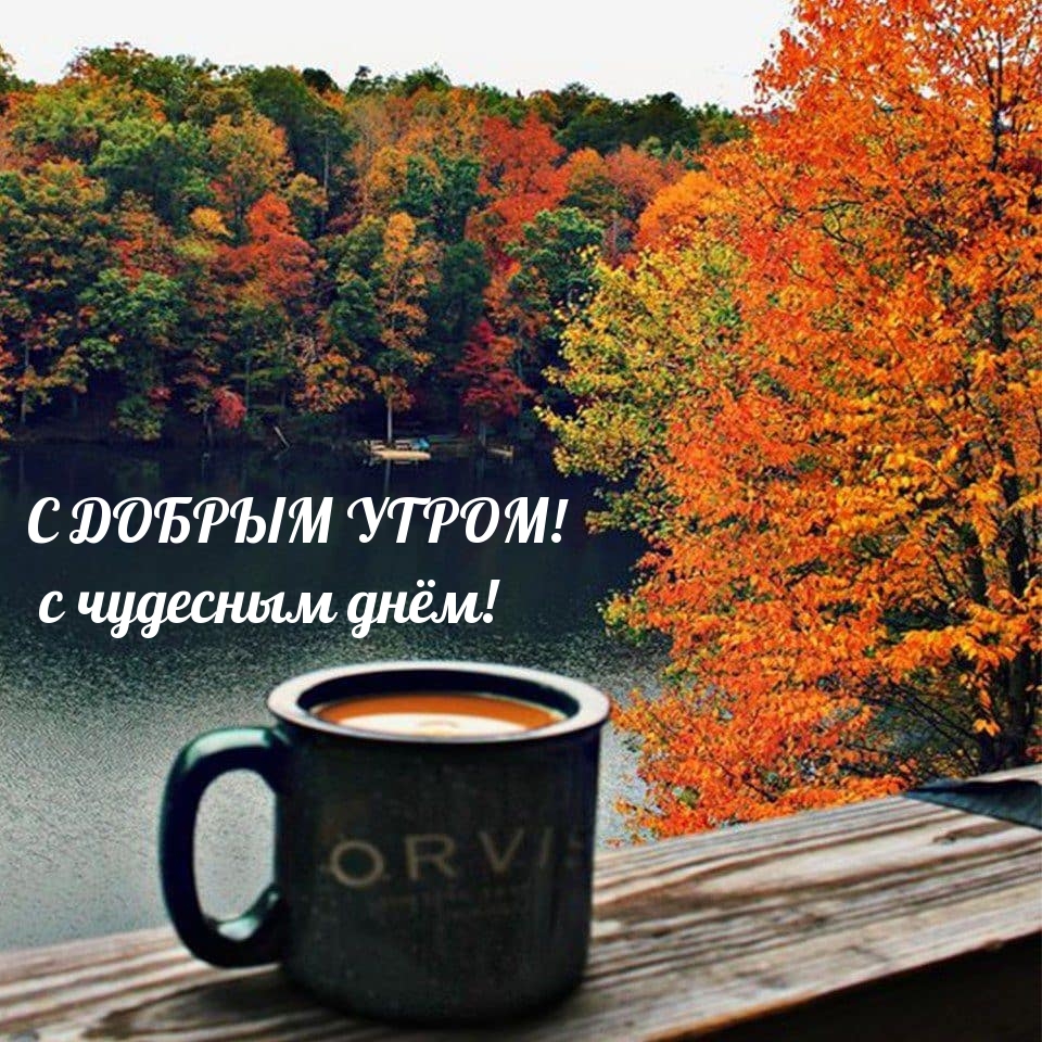 С ДОБРЫМ УТРОМ! с чудесным днём!