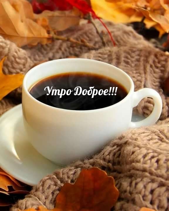 Утро Доброе!