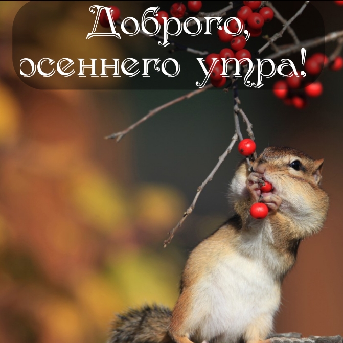 Доброго, осеннего утра!