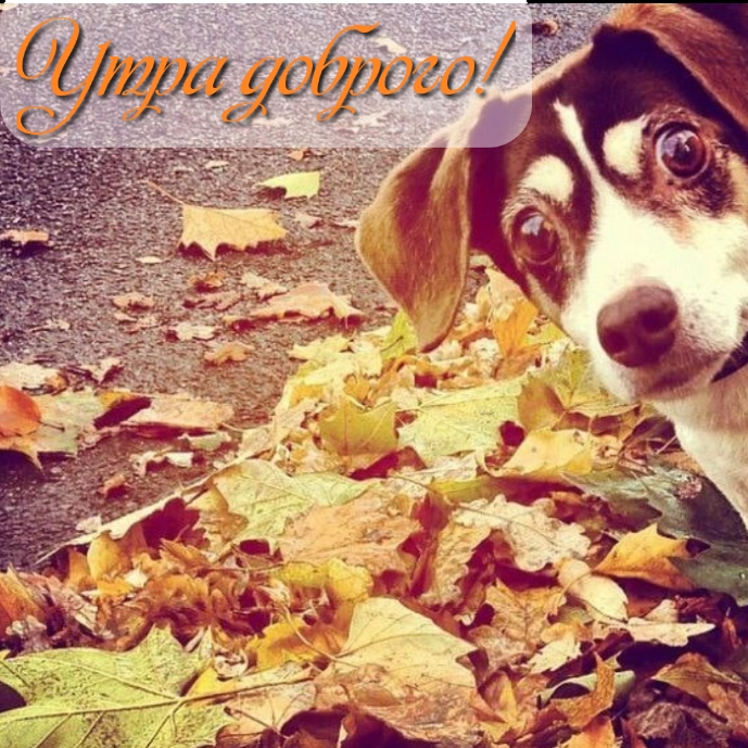 Утра доброго!