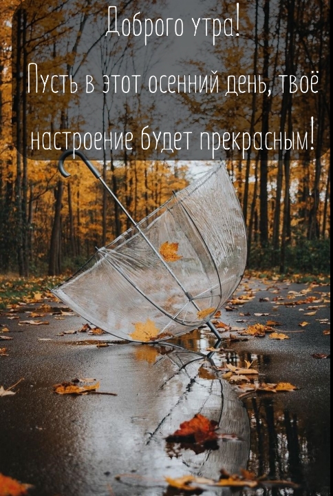 Пусть в этот осенний день, твоё настроение будет прекрасным!