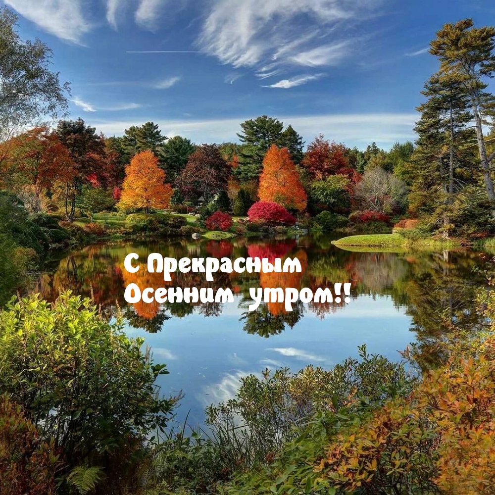 С Прекрасным Осенним утром!
