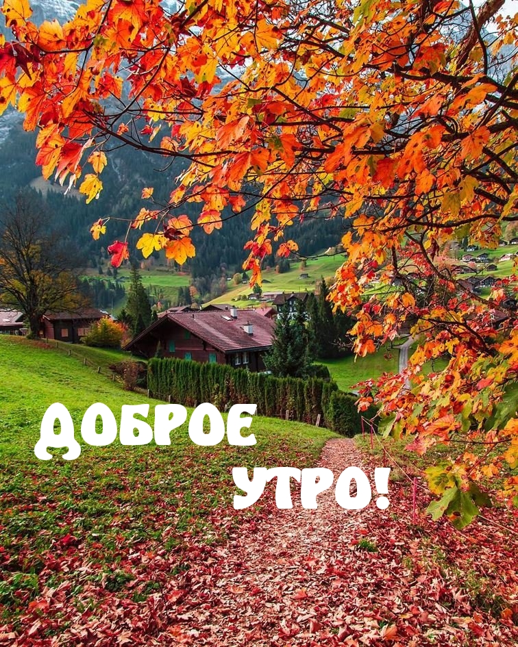 ДОБРОЕ УТРО!
