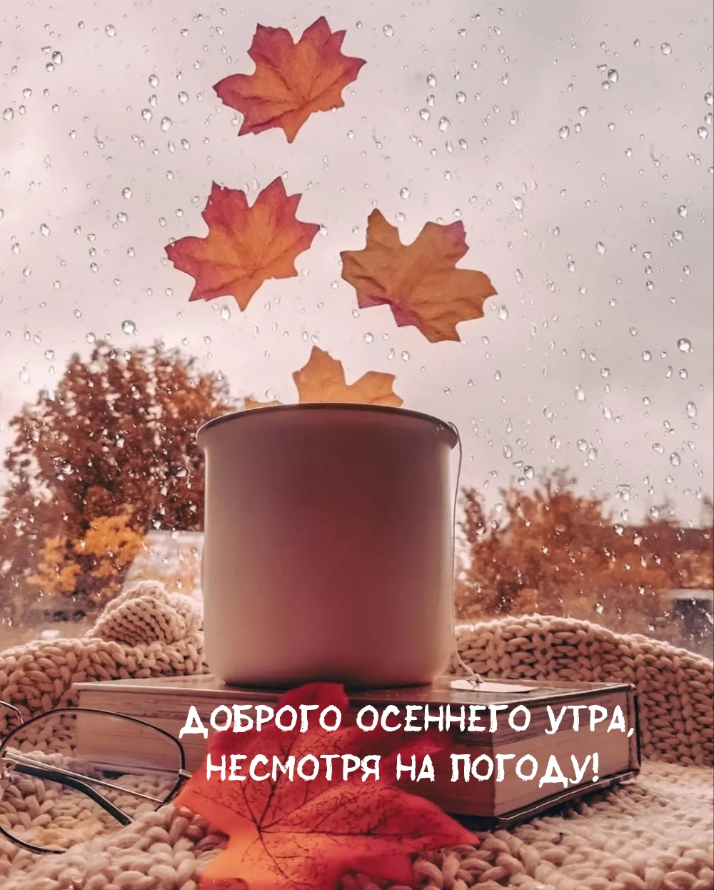 Доброго осеннего утра, несмотря на погоду!