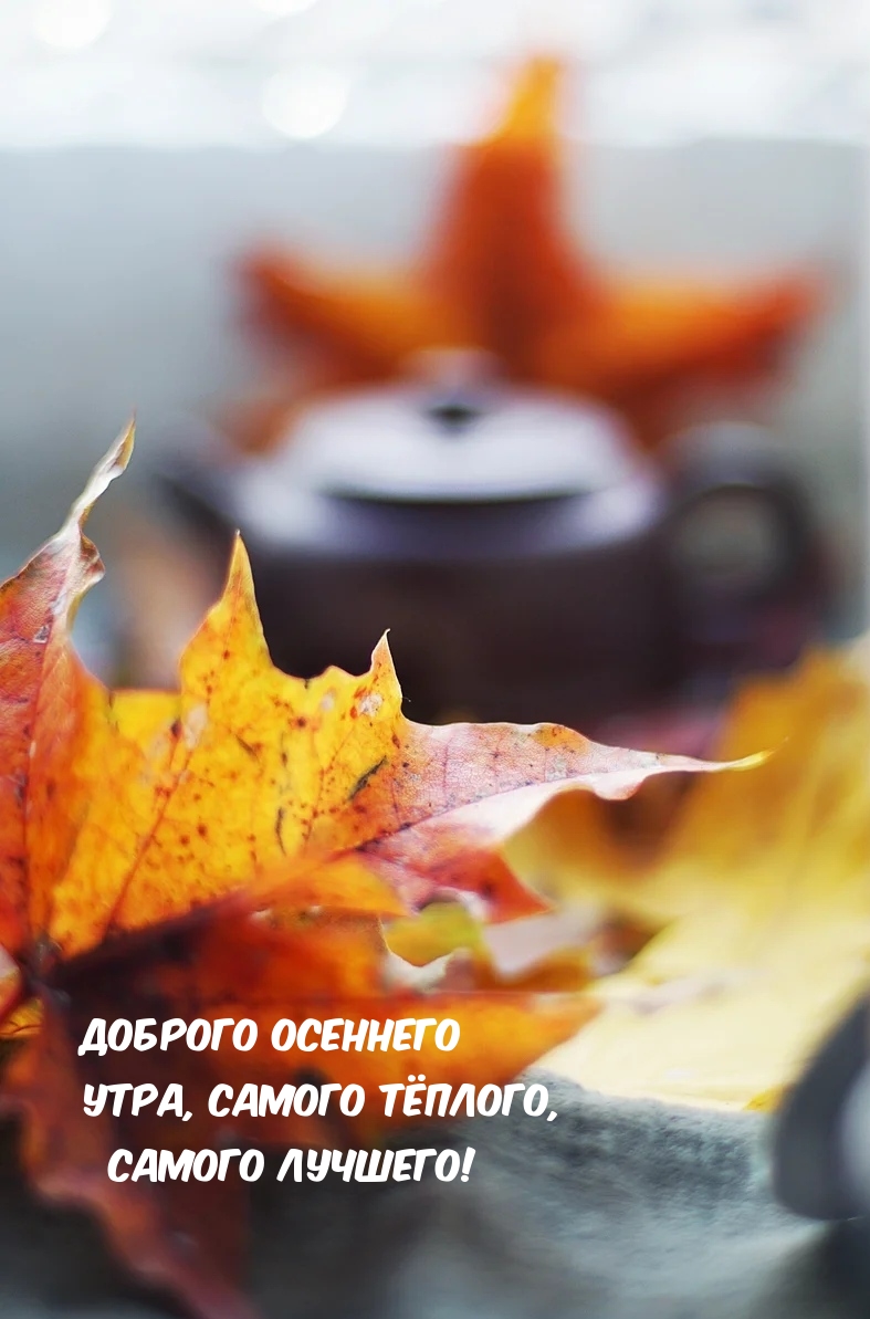 Доброго осеннего утра, самого тёплого, самого лучшего!