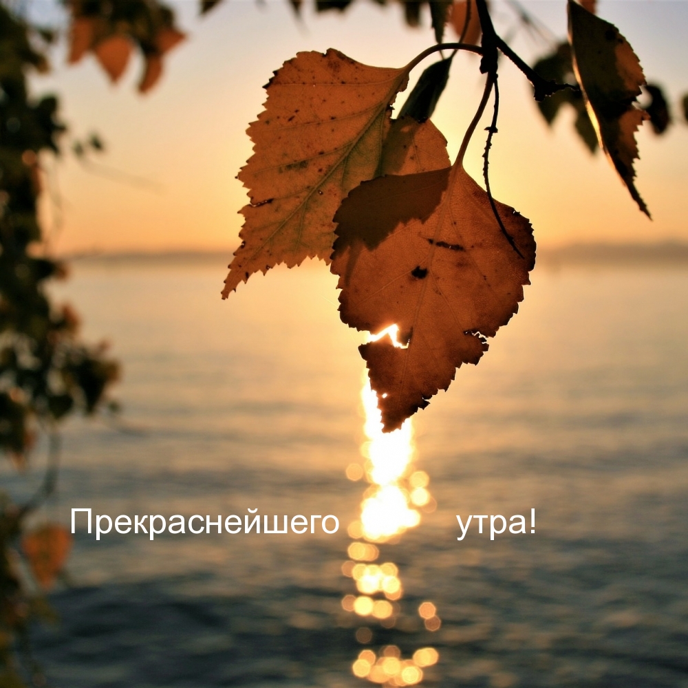 Прекраснейшего утра!