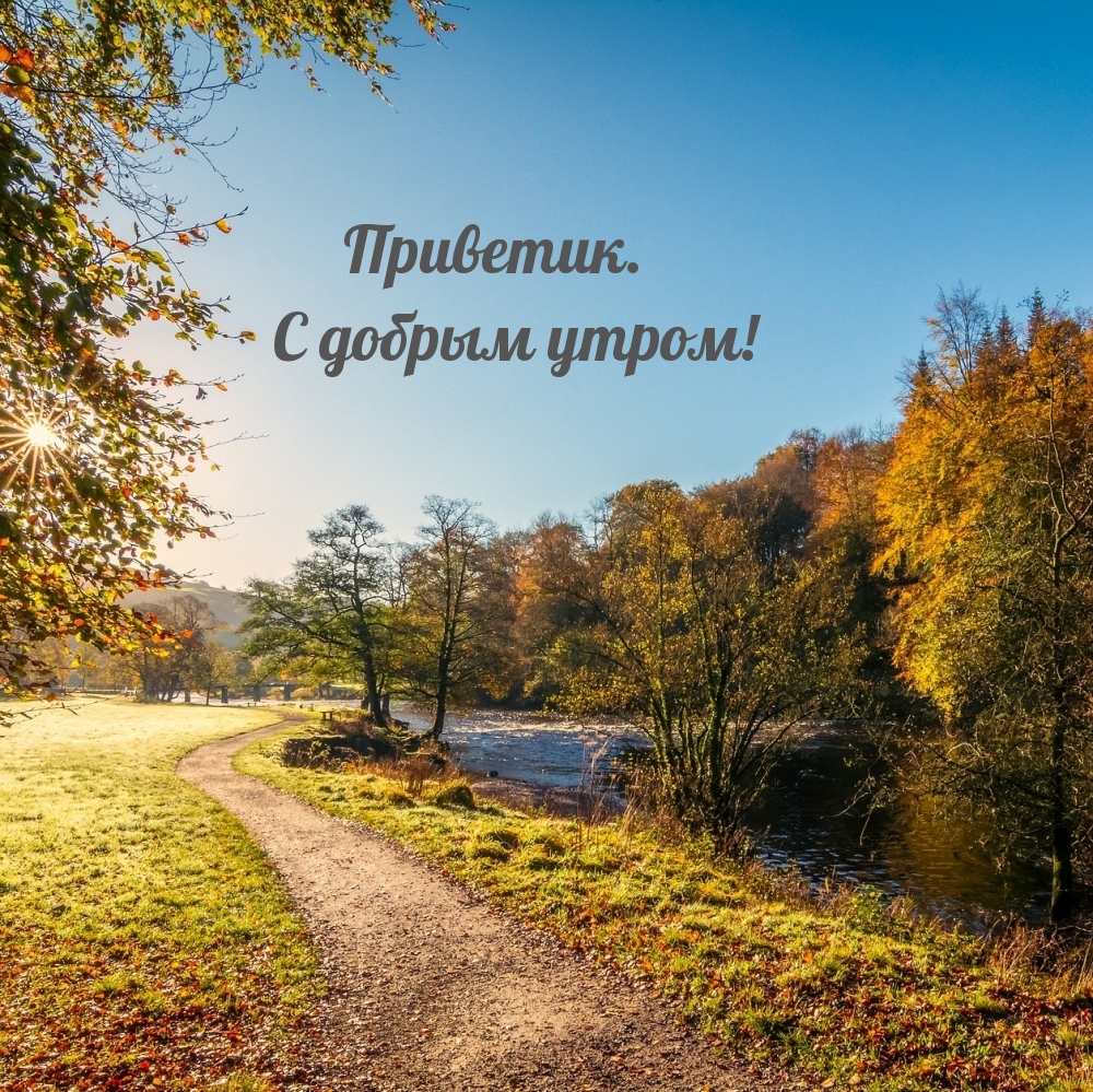 Приветик. С добрым утром!