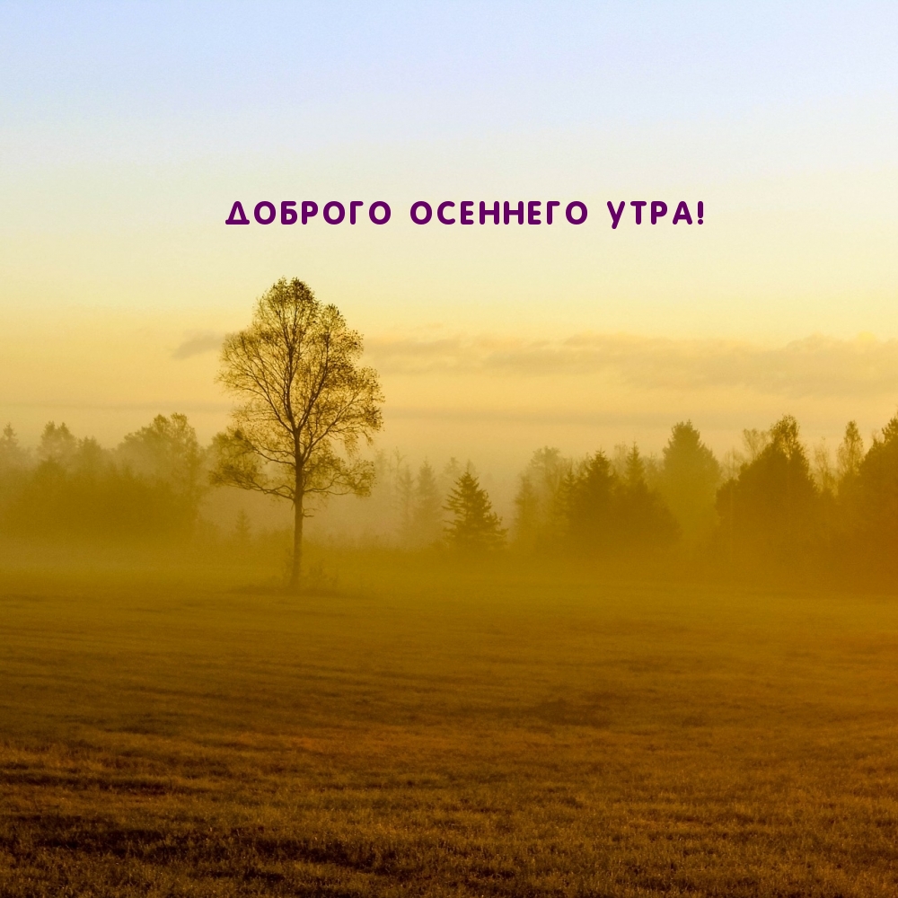 Доброго осеннего утра!