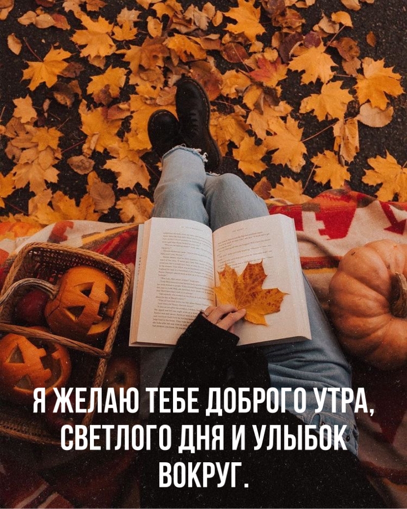 Я желаю тебе доброго утра, светлого дня и улыбок вокруг.