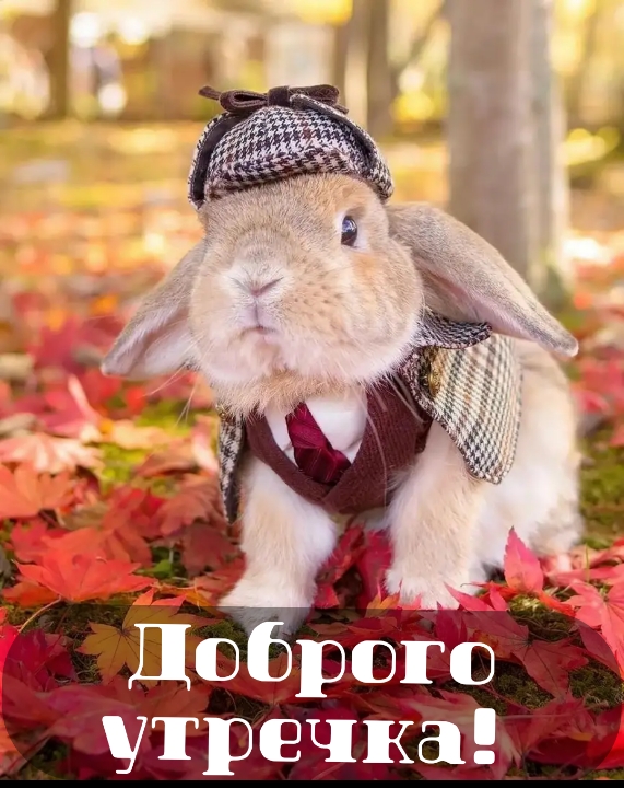 Доброго утречка!