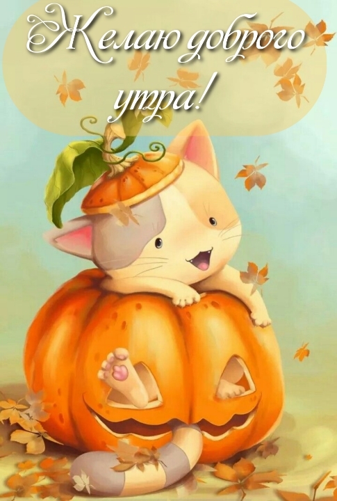 Желаю доброго утра!