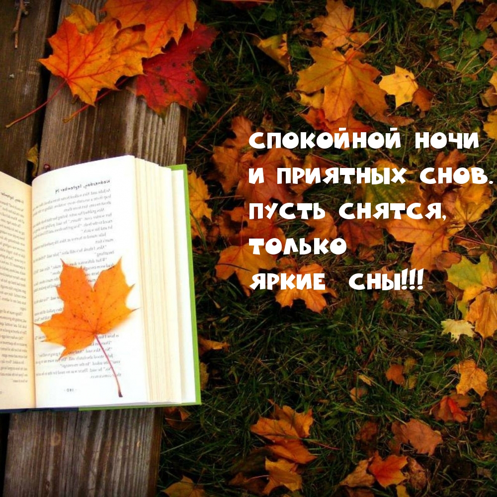 Спокойной ночи и приятных снов