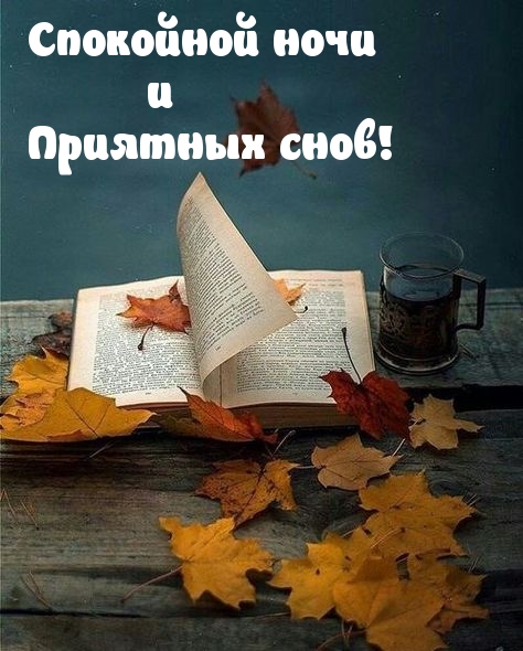 Спокойной ночи и приятных снов!