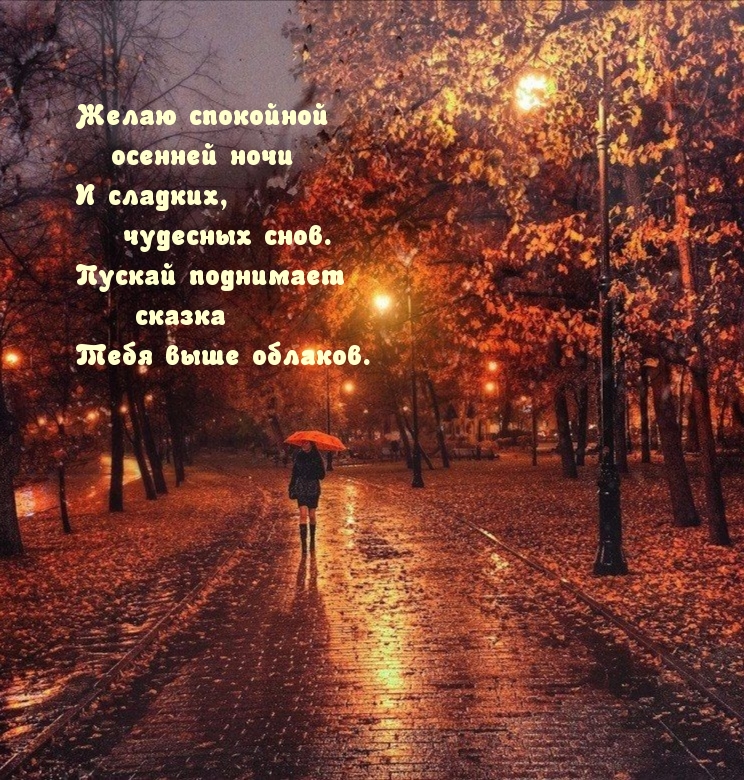 Желаю спокойной осенней ночи и сладких, чудесных снов.