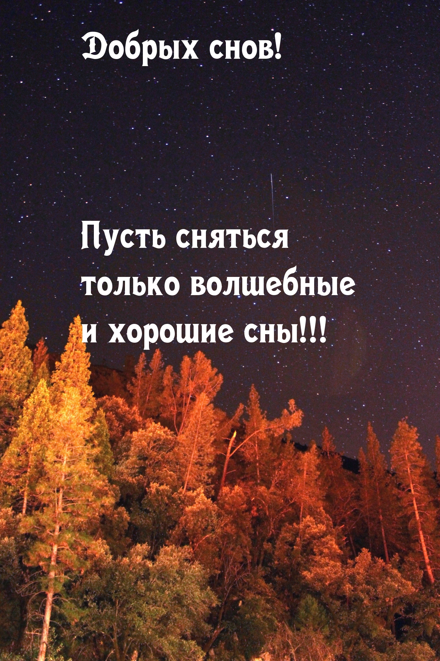 Добрых снов! Пусть сняться только волшебные и хорошие сны
