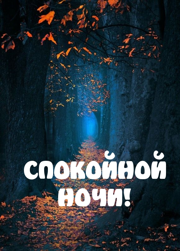СПОКОЙНОЙ НОЧИ!