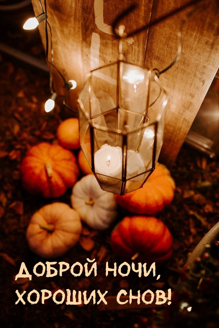 Доброй ночи, хороших снов!