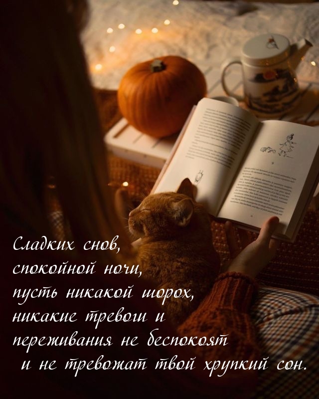 Сладких снов, спокойной ночи