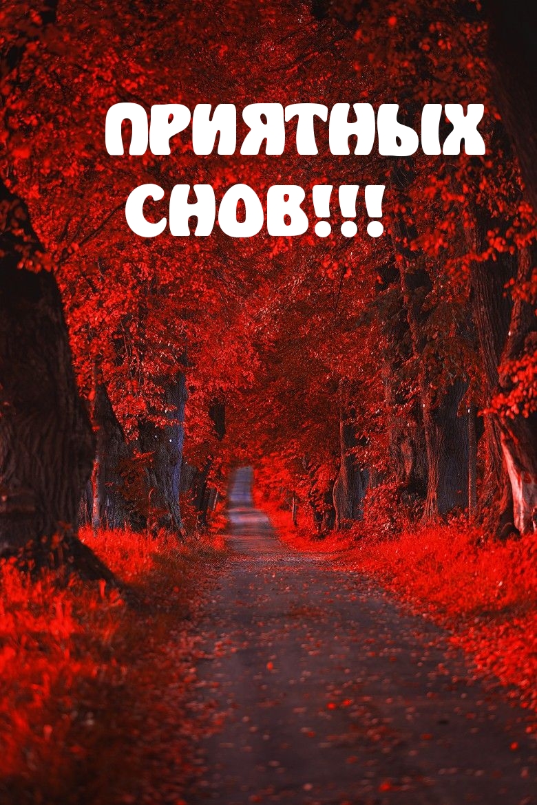 ПРИЯТНЫХ СНОВ!