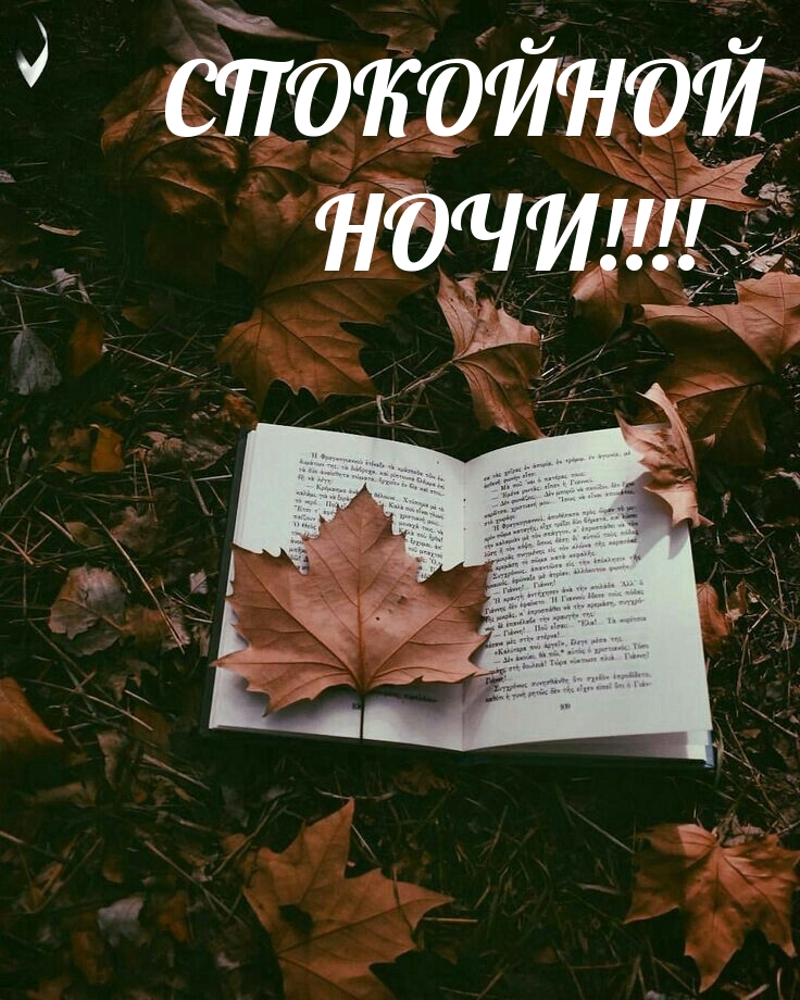 СПОКОЙНОЙ НОЧИ!