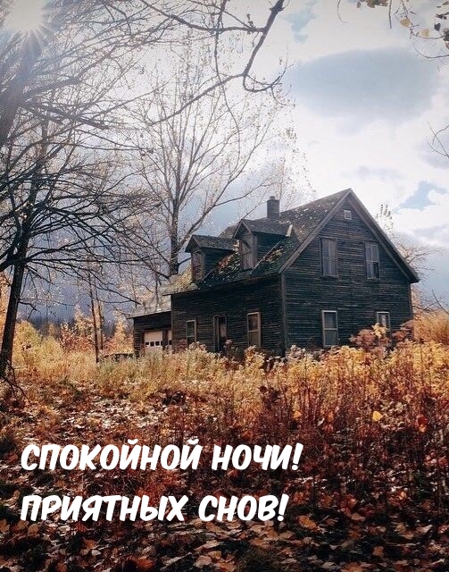 Спокойной ночи! Приятных снов!