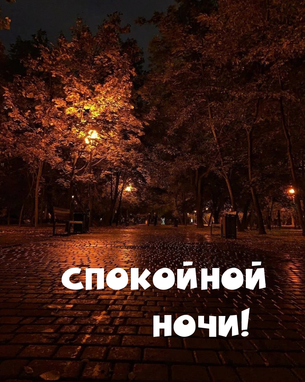 СПОКОЙНОЙ НОЧИ!