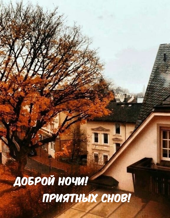 Доброй ночи! Приятных снов!