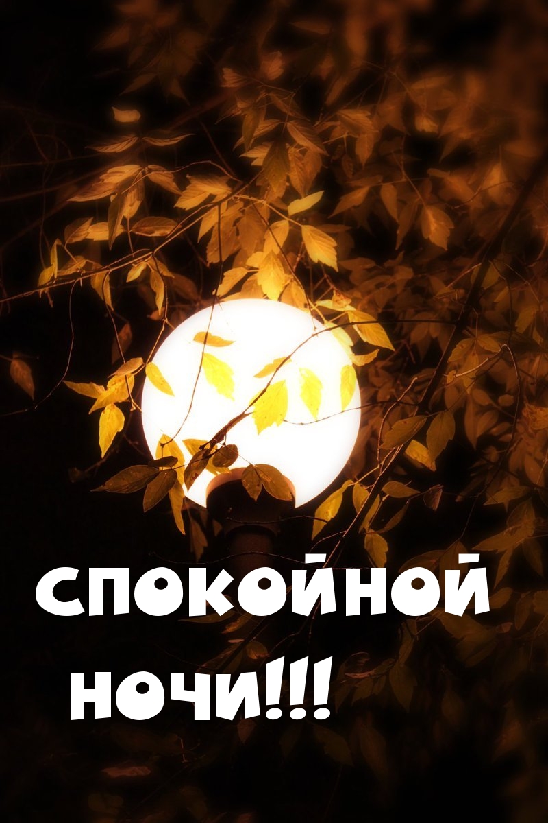 СПОКОЙНОЙ НОЧИ!