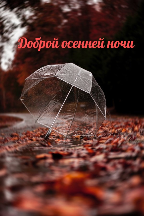Доброй осенней ночи