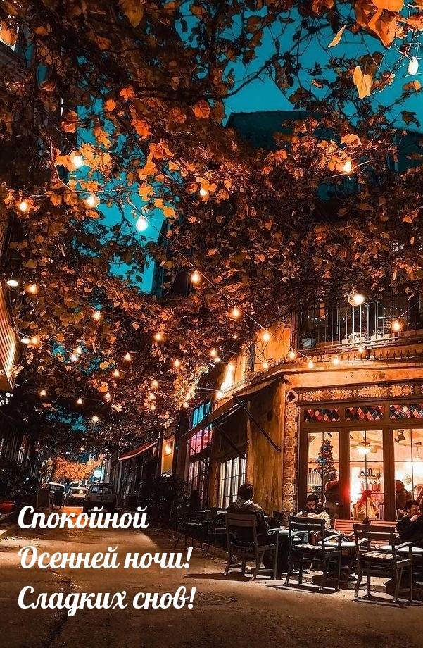 Спокойной Осенней ночи! Сладких снов!