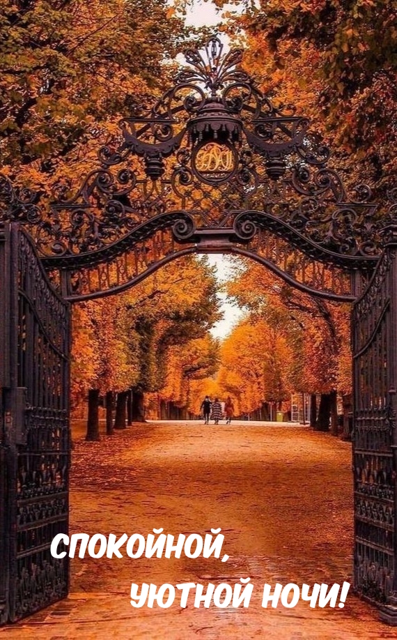 Спокойной, уютной ночи!