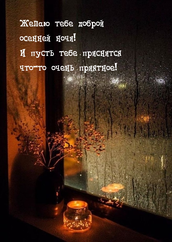 Желаю тебе доброй осенней ночи!