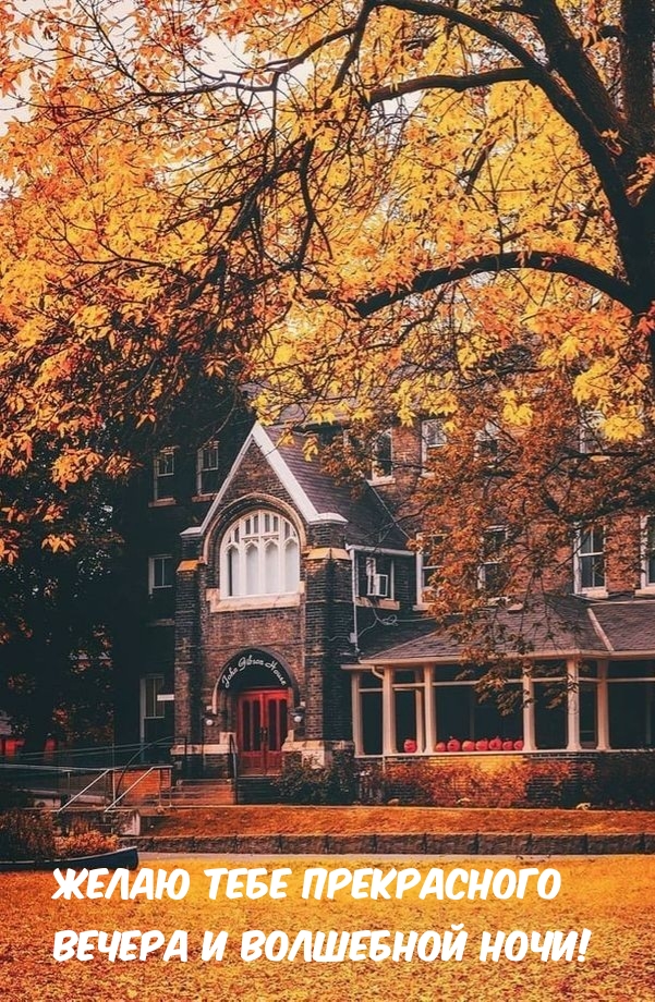 Желаю тебе прекрасного вечера и волшебной ночи!