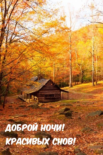 Доброй ночи! Красивых снов!