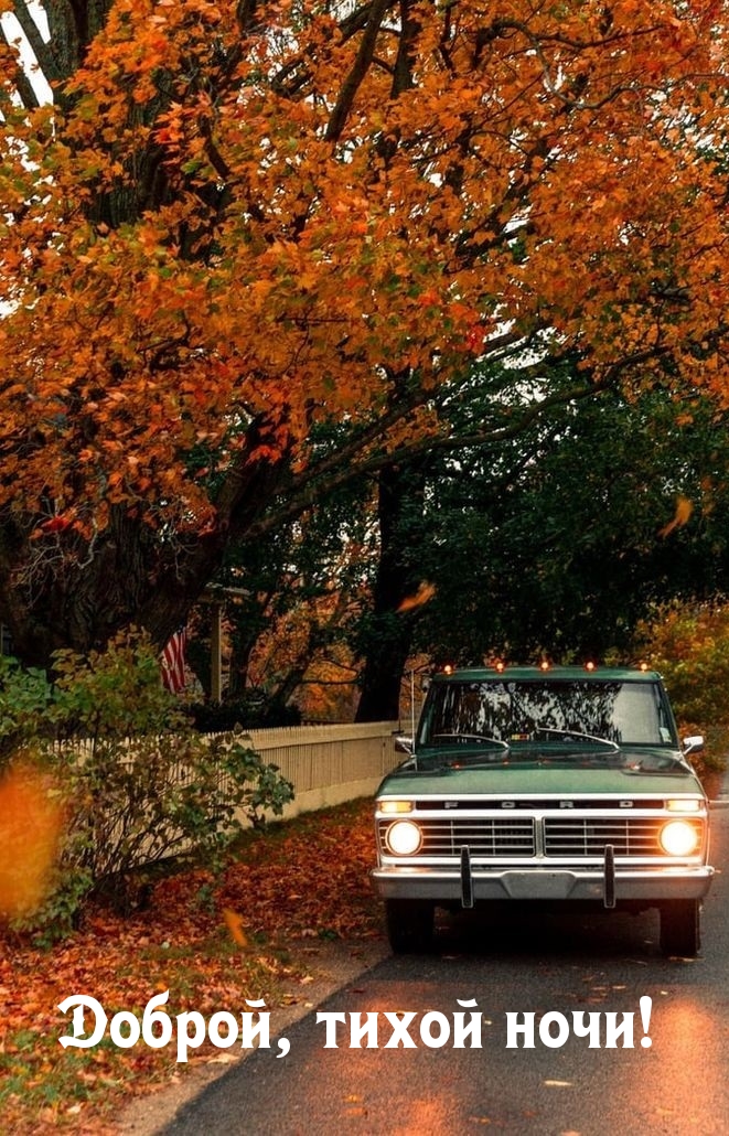 Доброй, тихой ночи!
