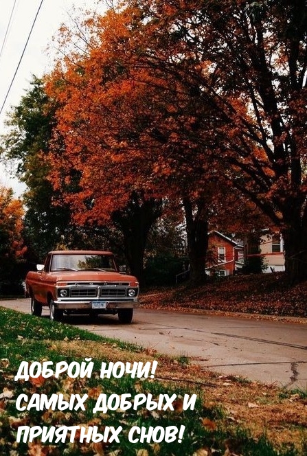 Доброй ночи! Самых добрых и приятных снов!