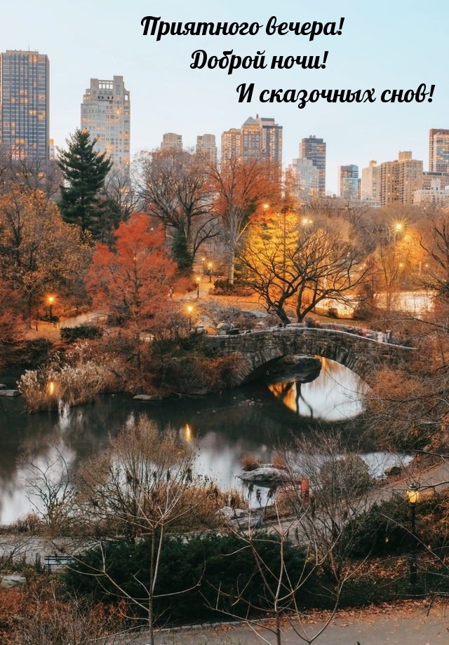 Приятного вечера! Доброй ночи! И сказочных снов!