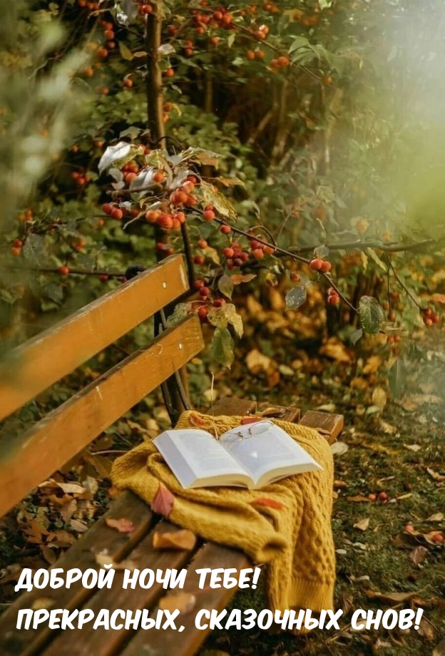 Доброй ночи тебе! Прекрасных, сказочных снов!