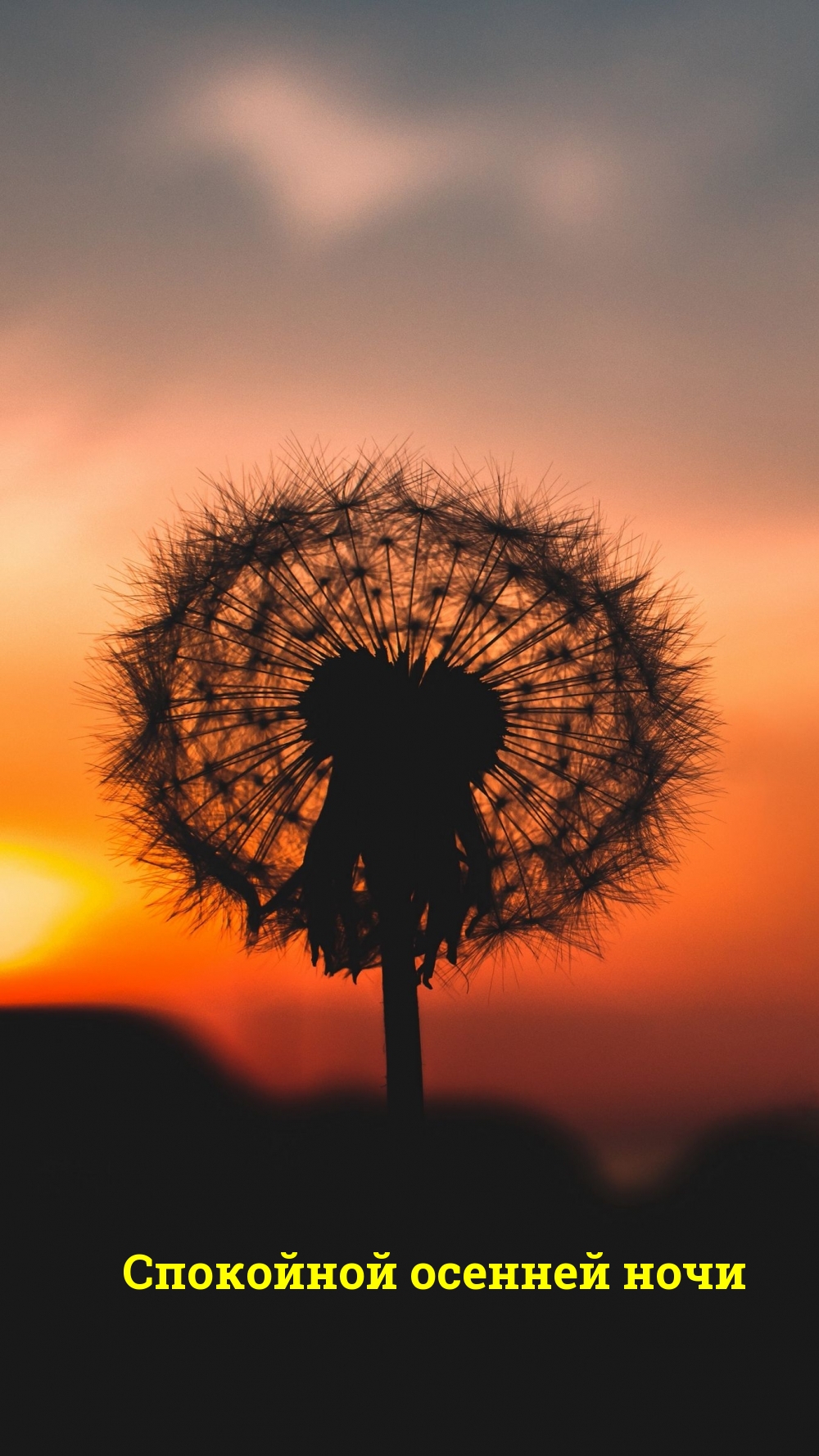 Спокойной осенней ночи