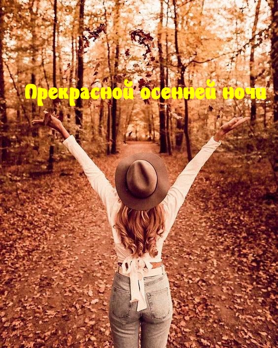 Прекрасной осенней ночи