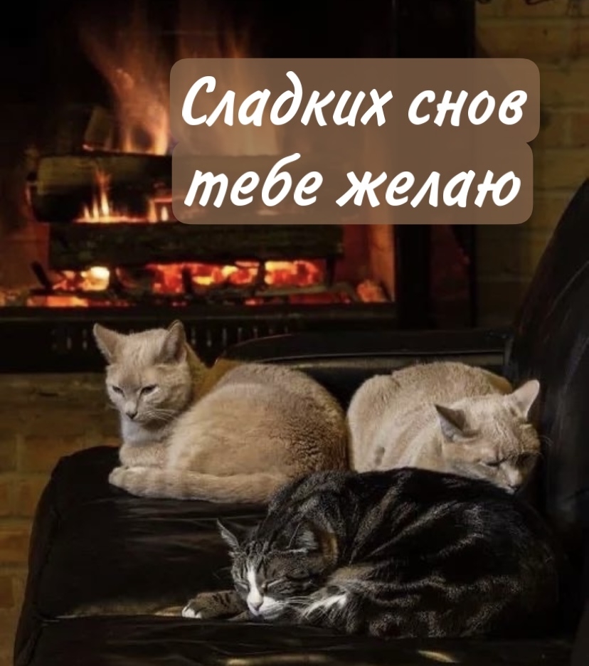 Сладких снов тебе желаю