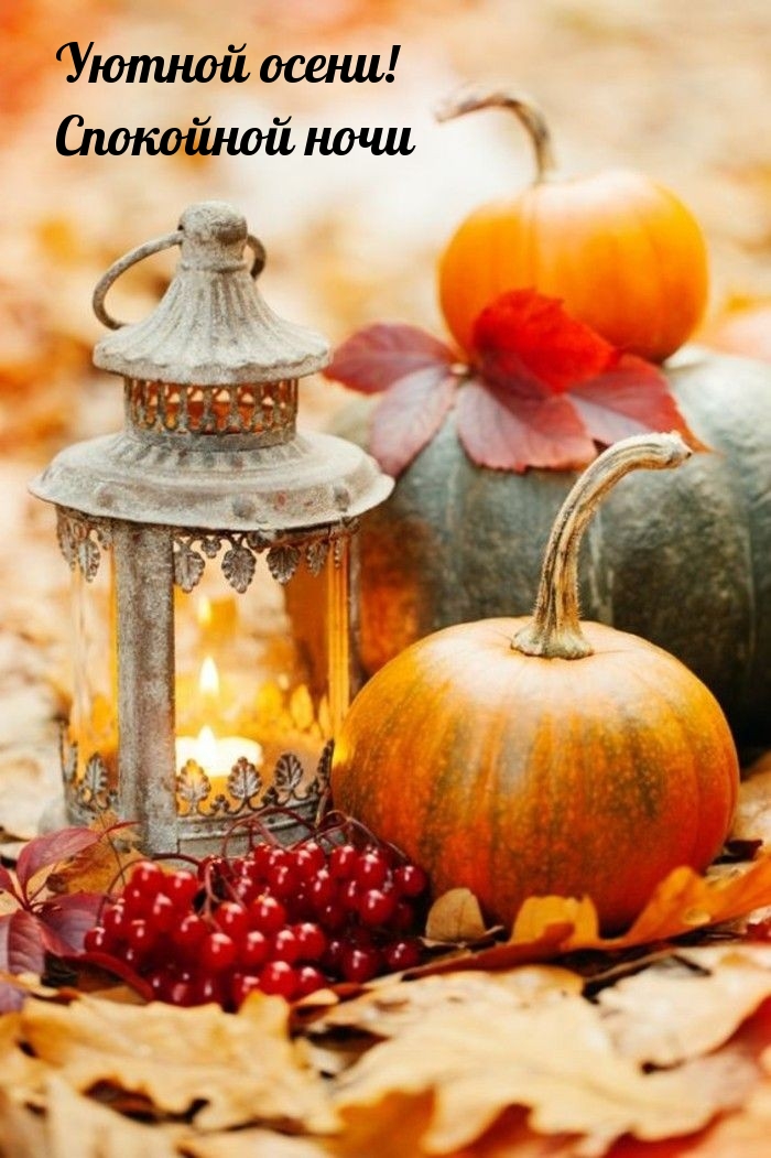 Уютной осени! Спокойной ночи