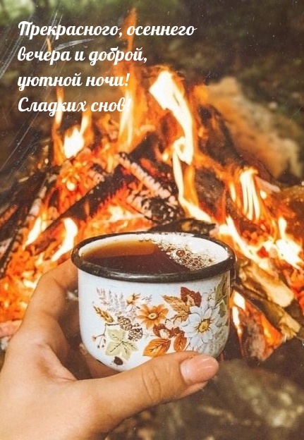 Прекрасного, осеннего вечера и доброй, уютной ночи!
