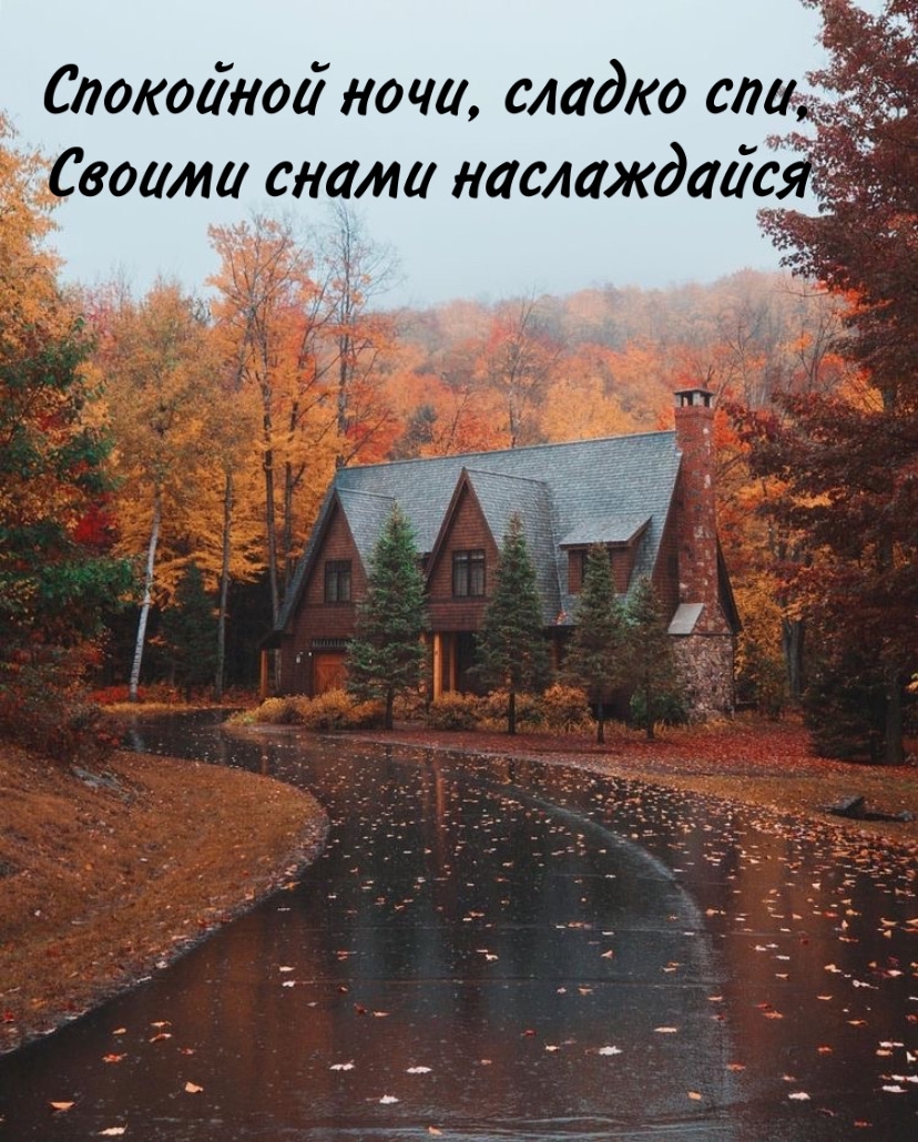 Спокойной ночи, сладко спи, своими снами наслаждайся