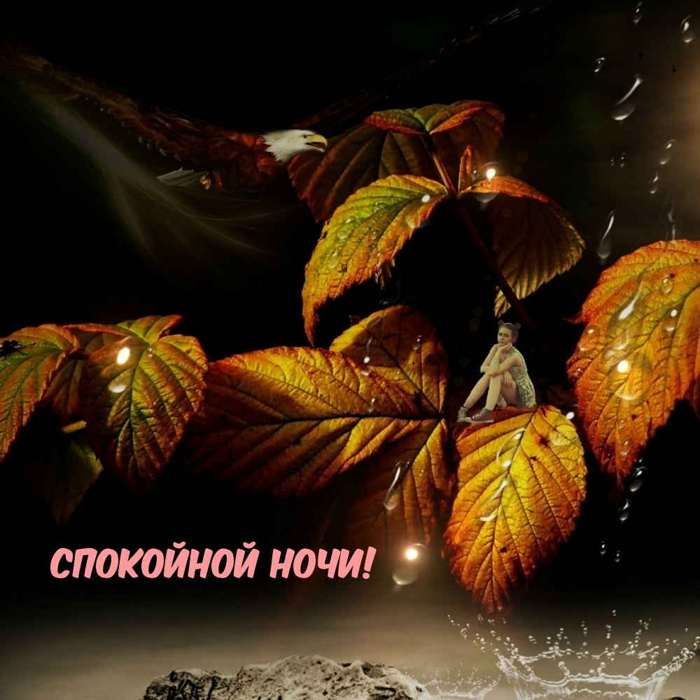 Спокойной ночи!