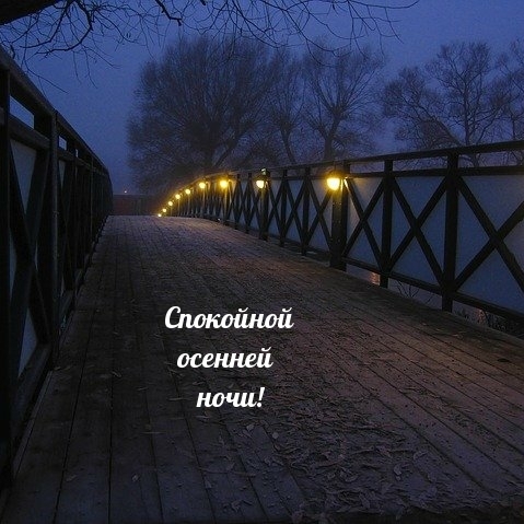 Спокойной осенней ночи!