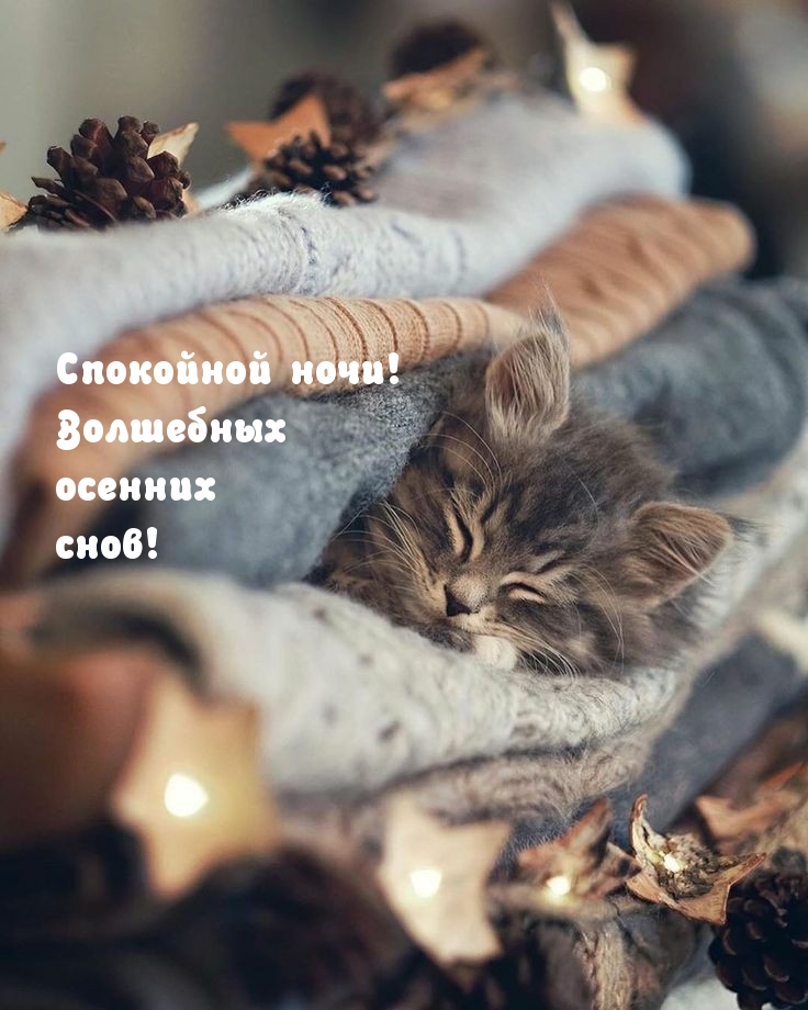 Спокойной ночи! Волшебных осенних снов!